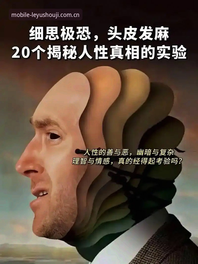 乐鱼手机官网最新版 揭秘乐鱼手机版背后的真实体验:你不知道的流畅与稳定真相